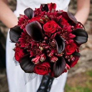 Meet your Posher, Helen